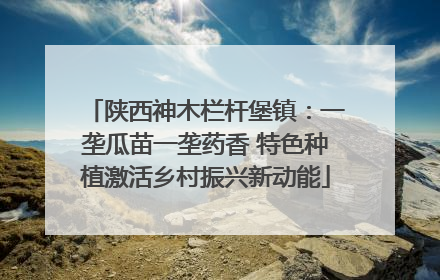 陕西神木栏杆堡镇：一垄瓜苗一垄药香 特色种植激活乡村振兴新动能