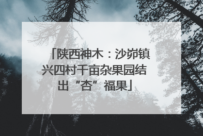 陕西神木：沙峁镇兴四村千亩杂果园结出“杏”福果