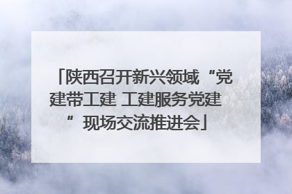陕西召开新兴领域“党建带工建 工建服务党建”现场交流推进会