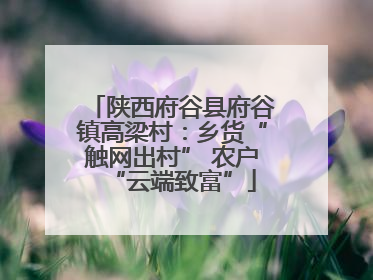陕西府谷县府谷镇高梁村：乡货“触网出村” 农户“云端致富”