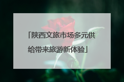 陕西文旅市场多元供给带来旅游新体验