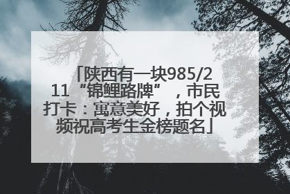 陕西有一块985/211“锦鲤路牌”，市民打卡：寓意美好，拍个视频祝高考生金榜题名