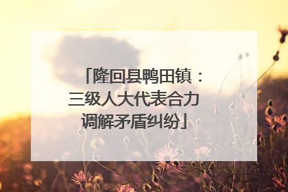 隆回县鸭田镇：三级人大代表合力调解矛盾纠纷