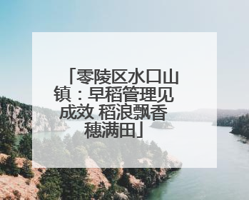 零陵区水口山镇：早稻管理见成效 稻浪飘香穗满田
