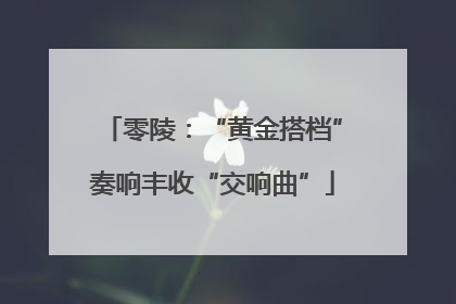 零陵：“黄金搭档”奏响丰收“交响曲”