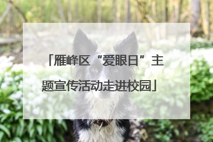 雁峰区“爱眼日”主题宣传活动走进校园