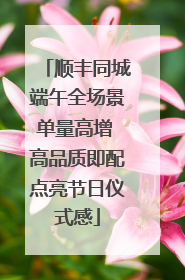 顺丰同城端午全场景单量高增 高品质即配点亮节日仪式感
