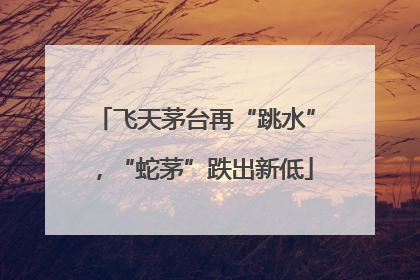 飞天茅台再“跳水”，“蛇茅”跌出新低
