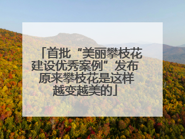 首批“美丽攀枝花建设优秀案例”发布 原来攀枝花是这样越变越美的