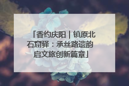 香约庆阳｜镇原北石窟驿：承丝路遗韵 启文旅创新篇章