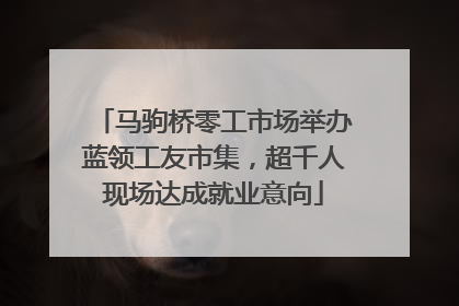 马驹桥零工市场举办蓝领工友市集，超千人现场达成就业意向