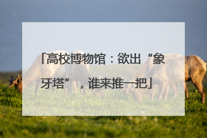 高校博物馆：欲出“象牙塔”，谁来推一把