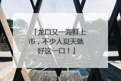龙口又一海鲜上市，不少人夏天就好这一口！