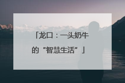 龙口：一头奶牛的“智慧生活”