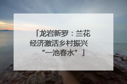 龙岩新罗：兰花经济激活乡村振兴“一池春水”
