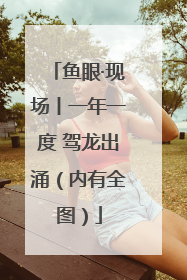 鱼眼·现场丨一年一度 驾龙出涌（内有全图）