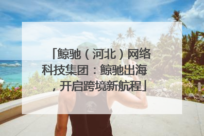 鲸驰（河北）网络科技集团：鲸驰出海，开启跨境新航程