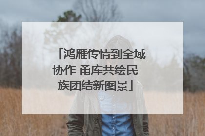 鸿雁传情到全域协作 甬库共绘民族团结新图景