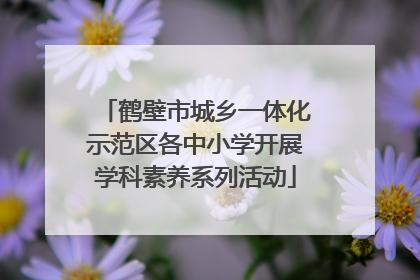 鹤壁市城乡一体化示范区各中小学开展学科素养系列活动