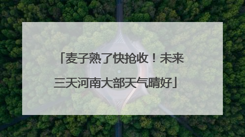 麦子熟了快抢收！未来三天河南大部天气晴好