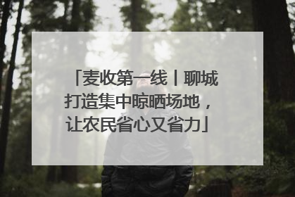 麦收第一线丨聊城打造集中晾晒场地，让农民省心又省力