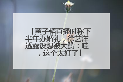 黄子韬直播时称下半年办婚礼，徐艺洋透露设想被大赞：哇，这个太好了