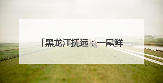 黑龙江抚远：一尾鲜鱼“游”出富民路