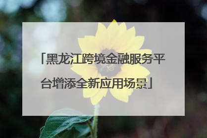 黑龙江跨境金融服务平台增添全新应用场景