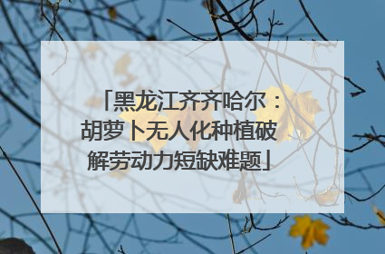 黑龙江齐齐哈尔：胡萝卜无人化种植破解劳动力短缺难题