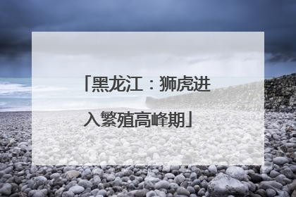 黑龙江：狮虎进入繁殖高峰期