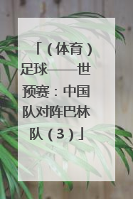 （体育）足球——世预赛：中国队对阵巴林队（3）