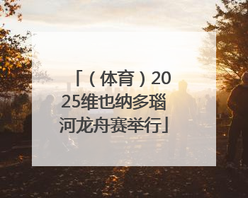 （体育）2025维也纳多瑙河龙舟赛举行