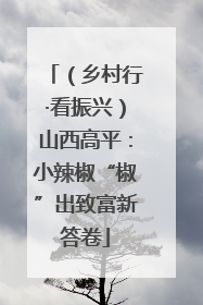 （乡村行·看振兴）山西高平：小辣椒“椒”出致富新答卷