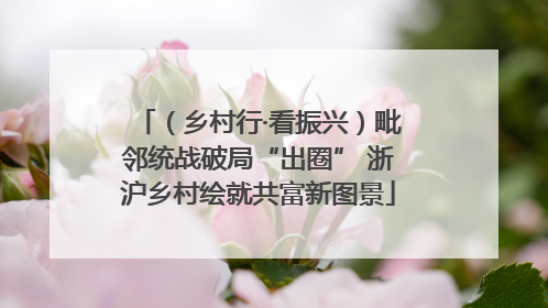 （乡村行·看振兴）毗邻统战破局“出圈” 浙沪乡村绘就共富新图景