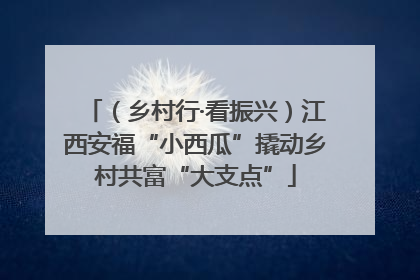 （乡村行·看振兴）江西安福“小西瓜”撬动乡村共富“大支点”