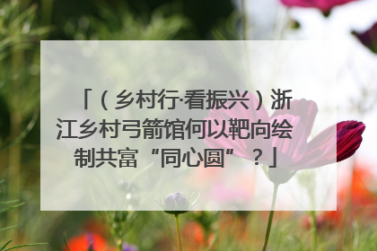 （乡村行·看振兴）浙江乡村弓箭馆何以靶向绘制共富“同心圆”？