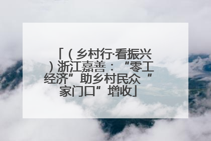 （乡村行·看振兴）浙江嘉善：“零工经济”助乡村民众“家门口”增收
