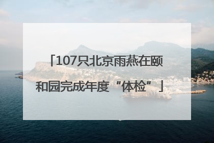107只北京雨燕在颐和园完成年度“体检”