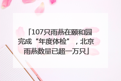107只雨燕在颐和园完成“年度体检”，北京雨燕数量已超一万只