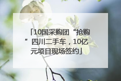 10国采购团“抢购”四川二手车，10亿元项目现场签约