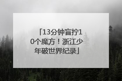 13分钟盲拧10个魔方！浙江少年破世界纪录