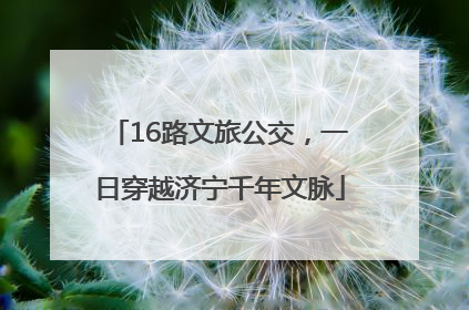 16路文旅公交，一日穿越济宁千年文脉