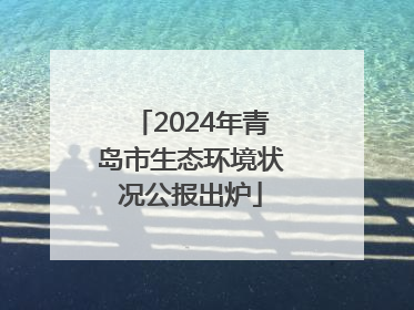 2024年青岛市生态环境状况公报出炉