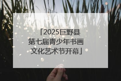 2025巨野县第七届青少年书画文化艺术节开幕