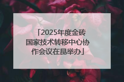 2025年度金砖国家技术转移中心协作会议在昆举办
