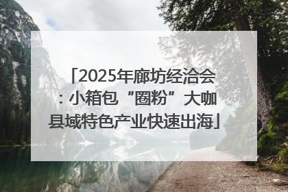 2025年廊坊经洽会：小箱包“圈粉”大咖 县域特色产业快速出海