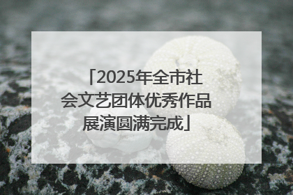2025年全市社会文艺团体优秀作品展演圆满完成