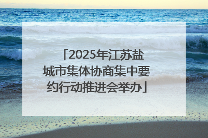 2025年江苏盐城市集体协商集中要约行动推进会举办