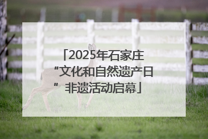2025年石家庄“文化和自然遗产日”非遗活动启幕