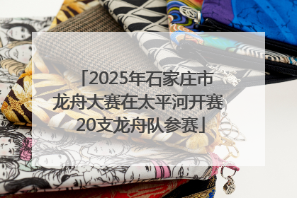 2025年石家庄市龙舟大赛在太平河开赛 20支龙舟队参赛